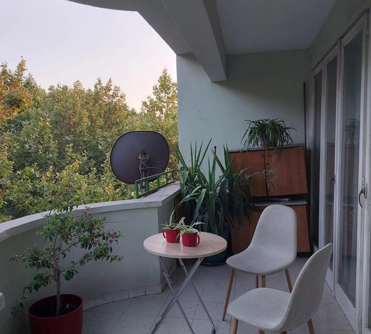 River Tirana Hostel Arnavutluk