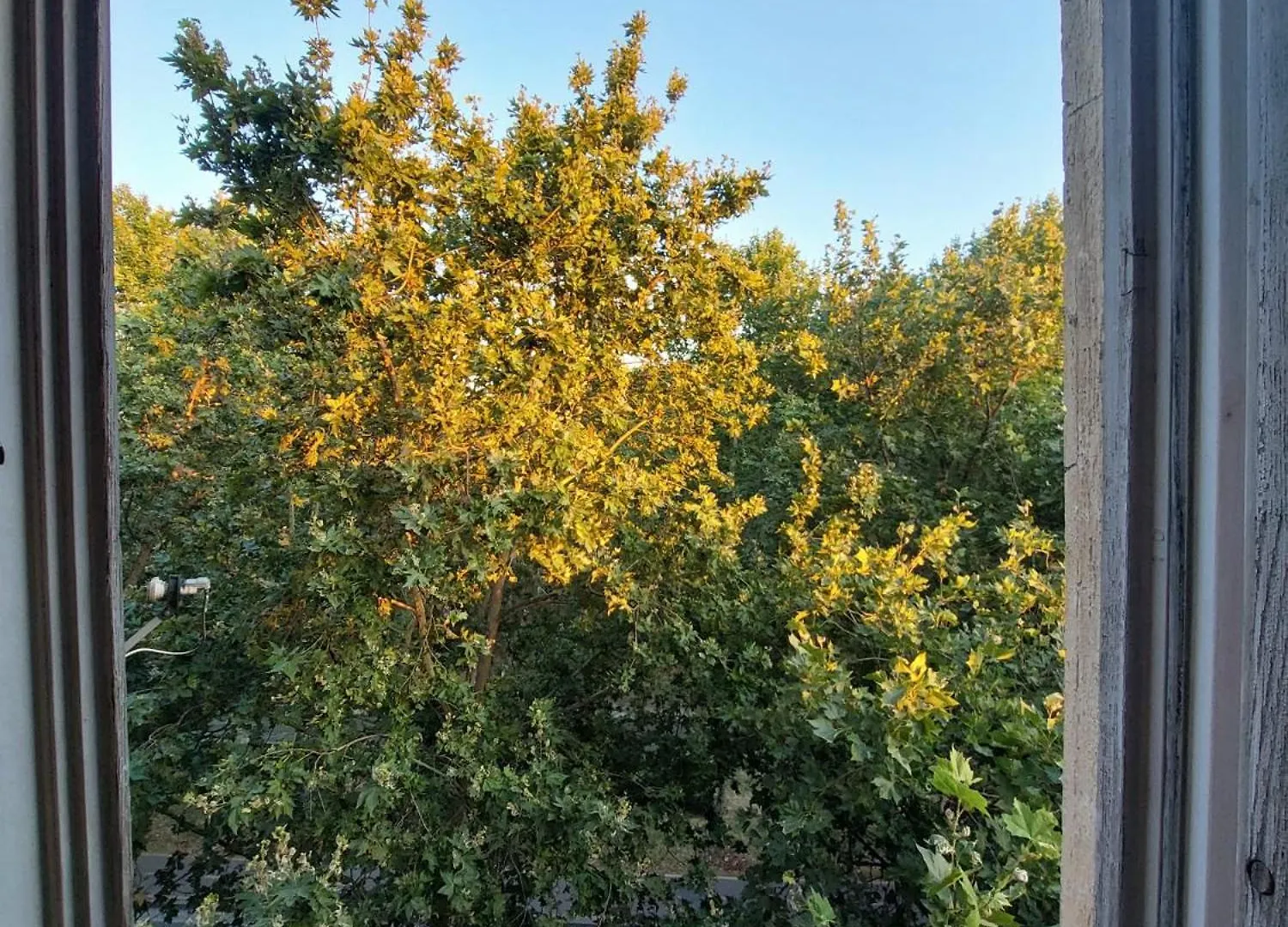 River Tirana Hostel Arnavutluk